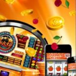 Top Cele Mai Bune Cazinouri Online 2024